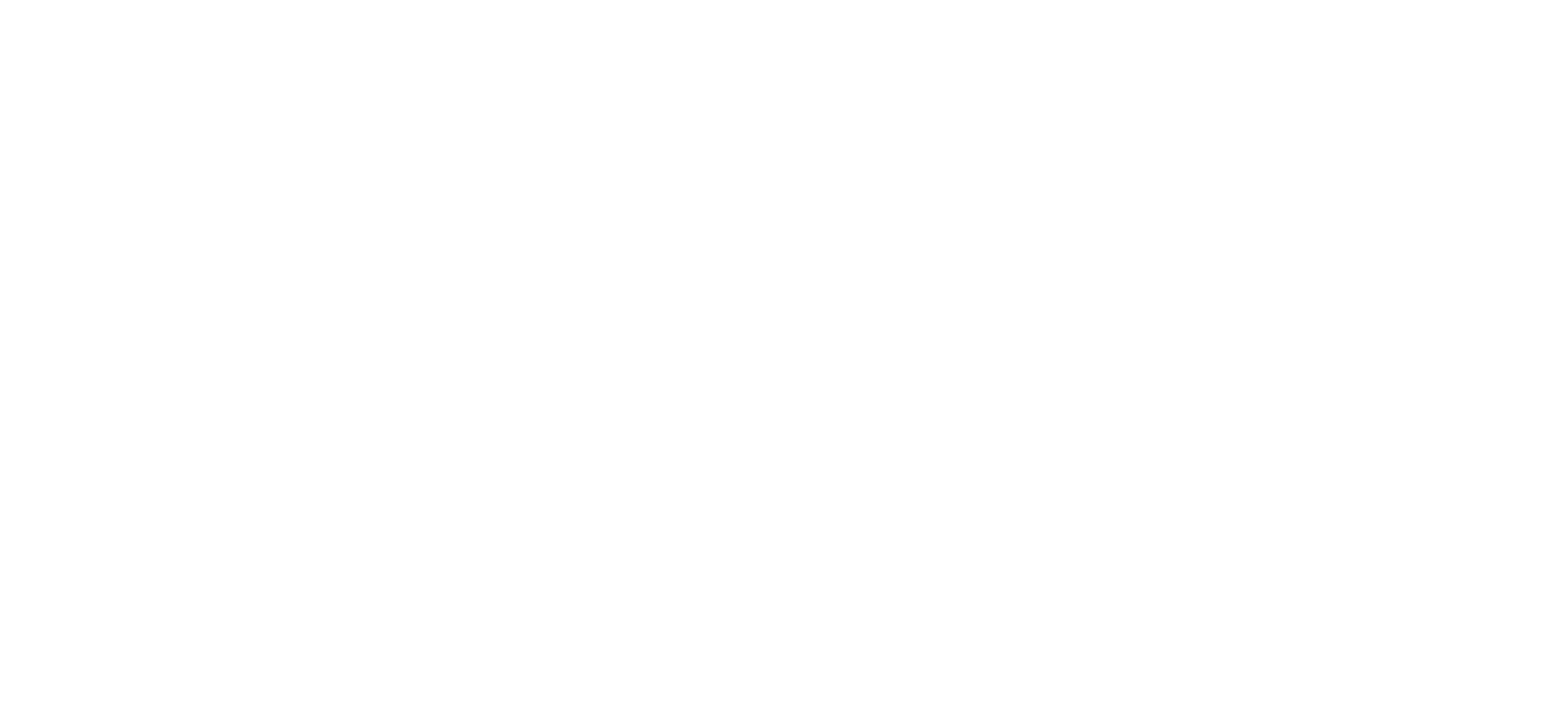 广州迪柯尼服饰股份有限公司